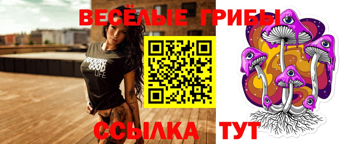 Вологда  купить наркотики цена  Псилоцибиновые грибы Magic Shrooms  Вход с VPN  Псилоцибиновые грибы Psilocybine cubensis 