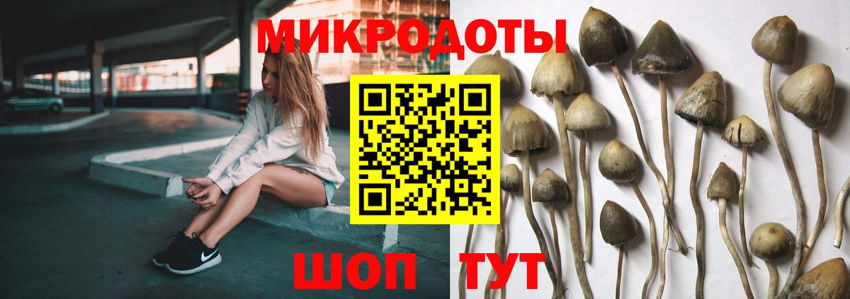 Галлюциногенные грибы мухоморы Вологда